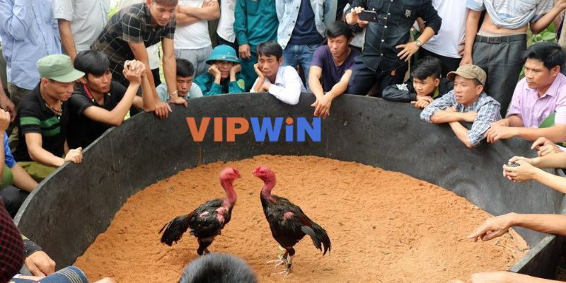 Những chiến thuật đá hiệu quả