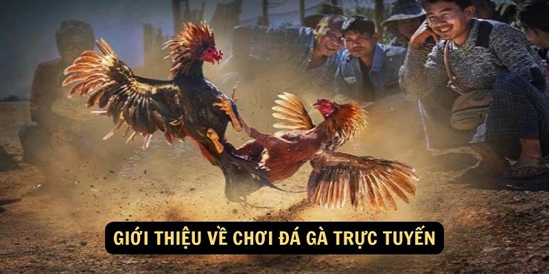 Những khuyến mãi hấp dẫn